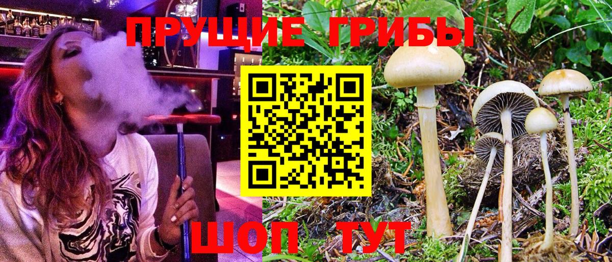 Баксан  Галлюциногенные грибы мицелий  как найти наркотики  Вход с VPN 