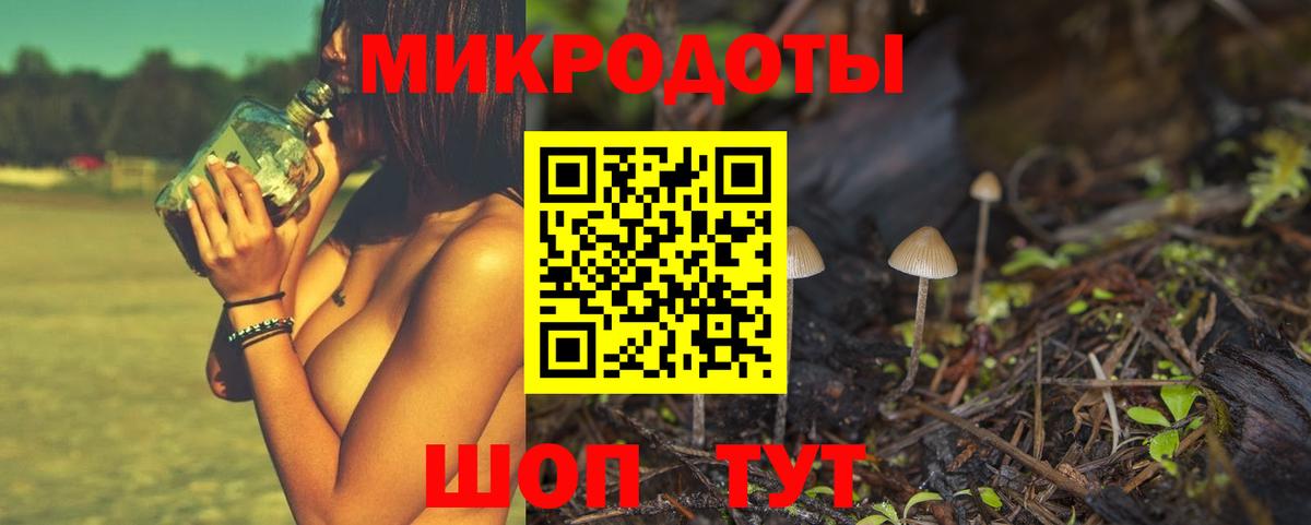 Галлюциногенные грибы Psilocybe Баксан